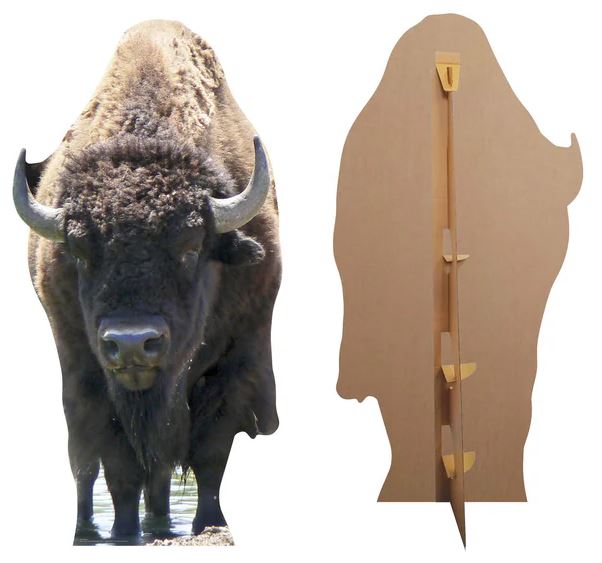 American Bison (Buffalo) Cardboard Cutout - 1.8m