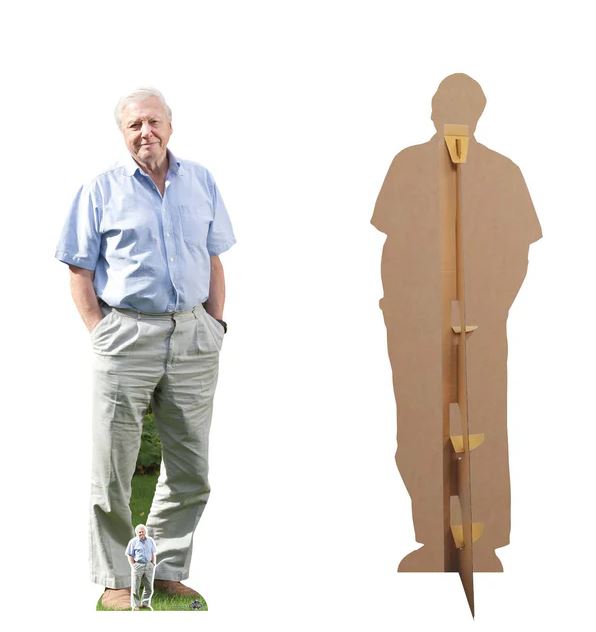 David Attenborough Lifesize Cardboard Cutout 1.87M