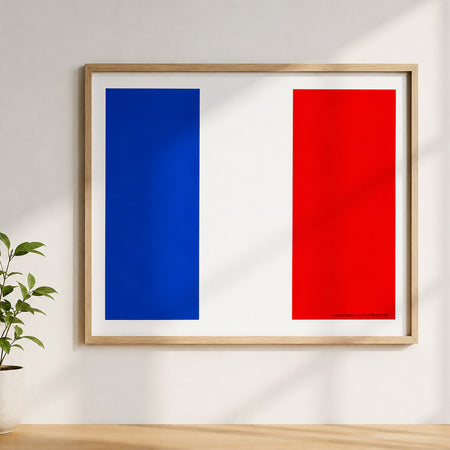 French Themed Flag Poster - A3