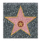 Hollywood Walk of Fame Star Peelable Sticker - 38cm