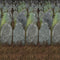 Graveyard Backdrop Decoration - 9.14m