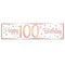 Rose Gold Glitz 100th Birthday Banner - 120cm x 30cm