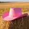 Pink Felt Cowboy Hat