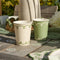Botanical Paper Cups - Pack of 8