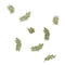 Botanical Leaf Party Table Scatter Confetti - 14g