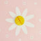 Daisy Honeycomb Hanging Decorations - Pack of 3