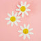 Daisy Honeycomb Hanging Decorations - Pack of 3