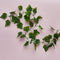 Ivy Artificial Leaves Garland - 2m