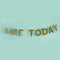 Gold Glitter One Today Banner - 2m