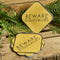 Beware Dinosaurs Paper Napkins - Pack of 16