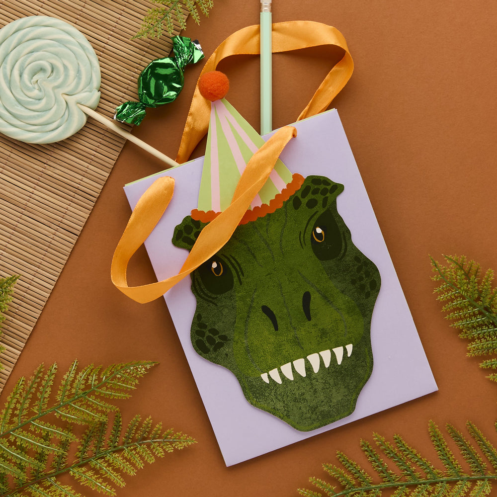 Dinosaur Party Bags Pack of 5 | Kids Dino Birthday Party Bags | Party Packs