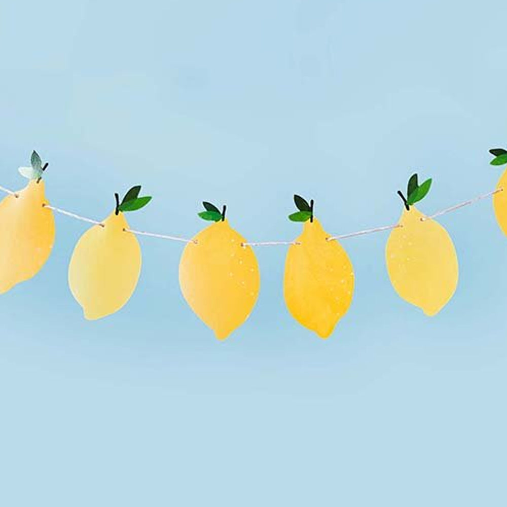 Lemon Garland Decoration - 2.5m