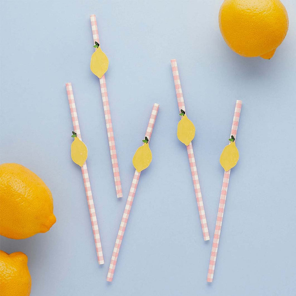 Lemon and Pink Gingham Paper Straws - Pack of 20