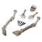 Skeleton Parts Lawn Decoration