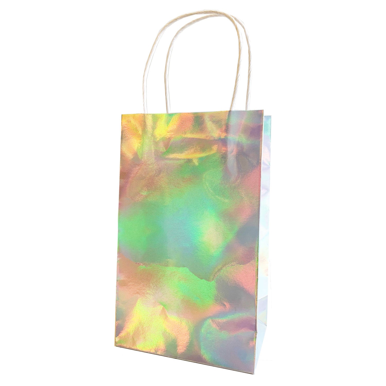 Iridescent Party Bags with Handle- Pack Of 6