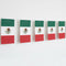 Mexican Flag Bunting - 2.4m