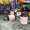 Pink Halloween Personalised Party Poppers Kit - Pack of 18