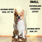 Pet or Small Child Size Photo Upload Cardboard Cutout - Up to 90cm Tall
