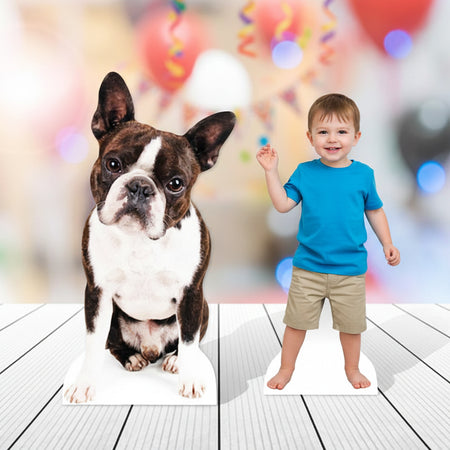 Pet or Small Child Size Photo Upload Cardboard Cutout - Up to 90cm Tall