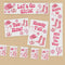 Wild West Pink Cowgirl Paper Decoration Pack