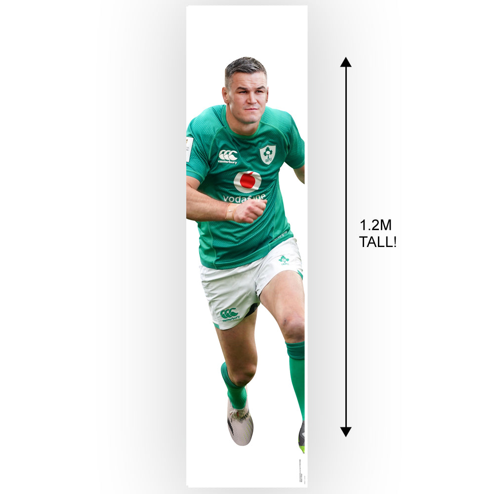 Johnny Sexton Ireland Rugby Paper Wall & Door Banner Decoration - 1.2m