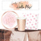 Rose Gold and Pink Team Bride Hen Party Tableware Pack for 8 with FREE Banner!