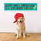 It's My Birthday Motherpuppers Banner - 120cm x 30cm