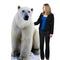 Polar Bear Cardboard Cutout - 1.76cm