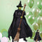 Wicked Witch Of The West Cardboard Cutout - 1.85m