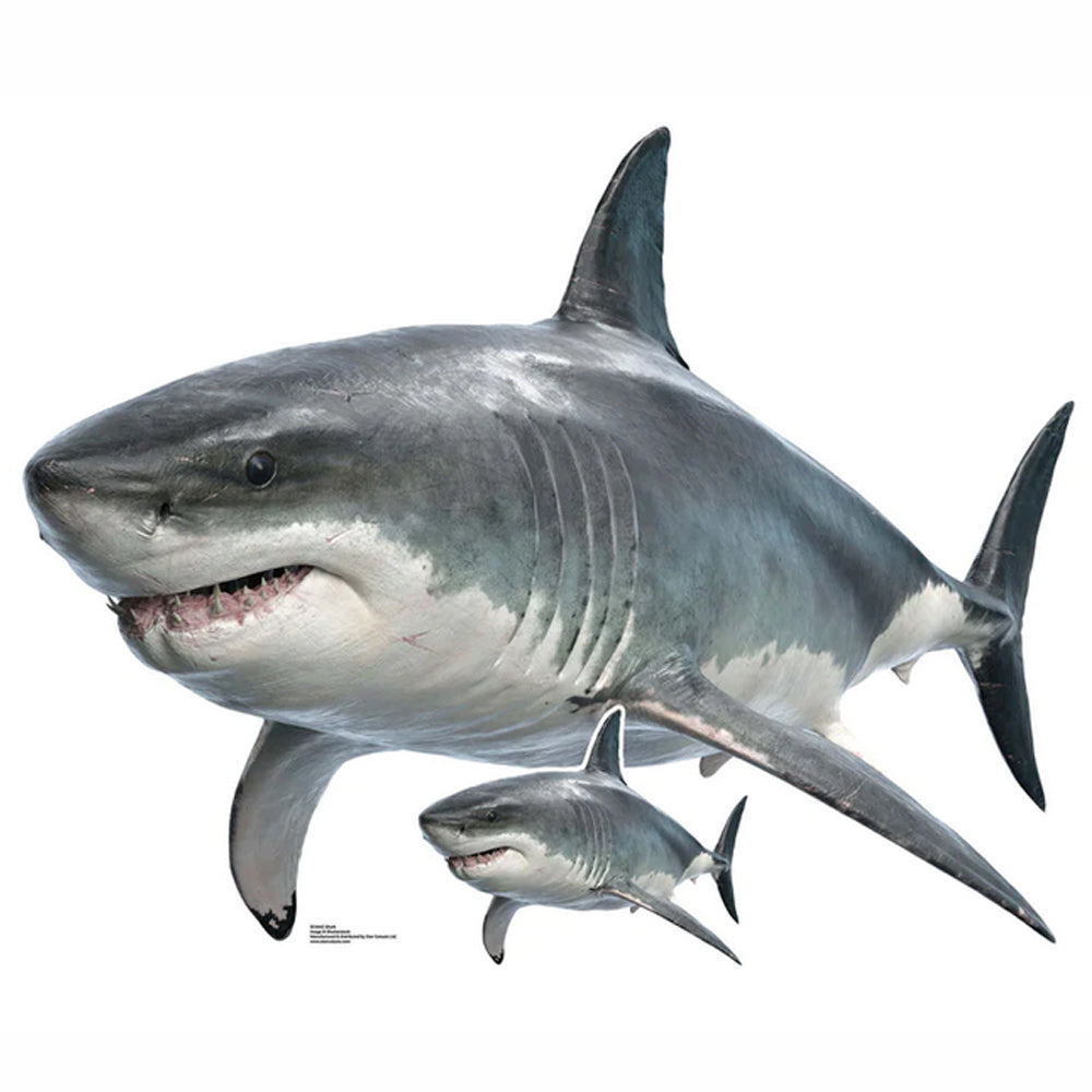 Shark Cardboard Cutout Prop - 94cm