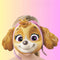 Paw Patrol Card Masks - Pack of 6
