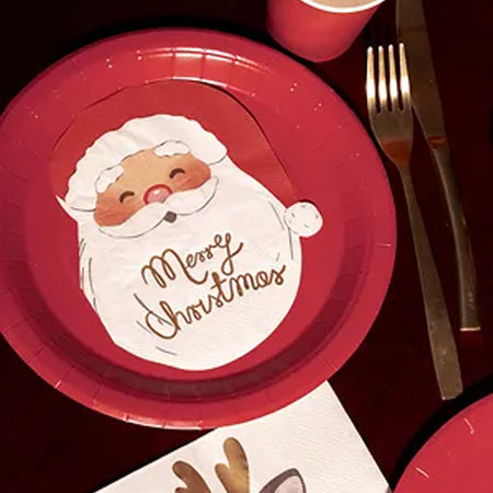 Santa Face Napkins - 16cm - Pack of 12