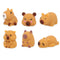 Capybara Squishy Toy - 4cm - 6 Assorted Designs - Each