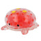 Mini Sea Animal Squishies with Beads - Assorted Designs - 5cm - Each