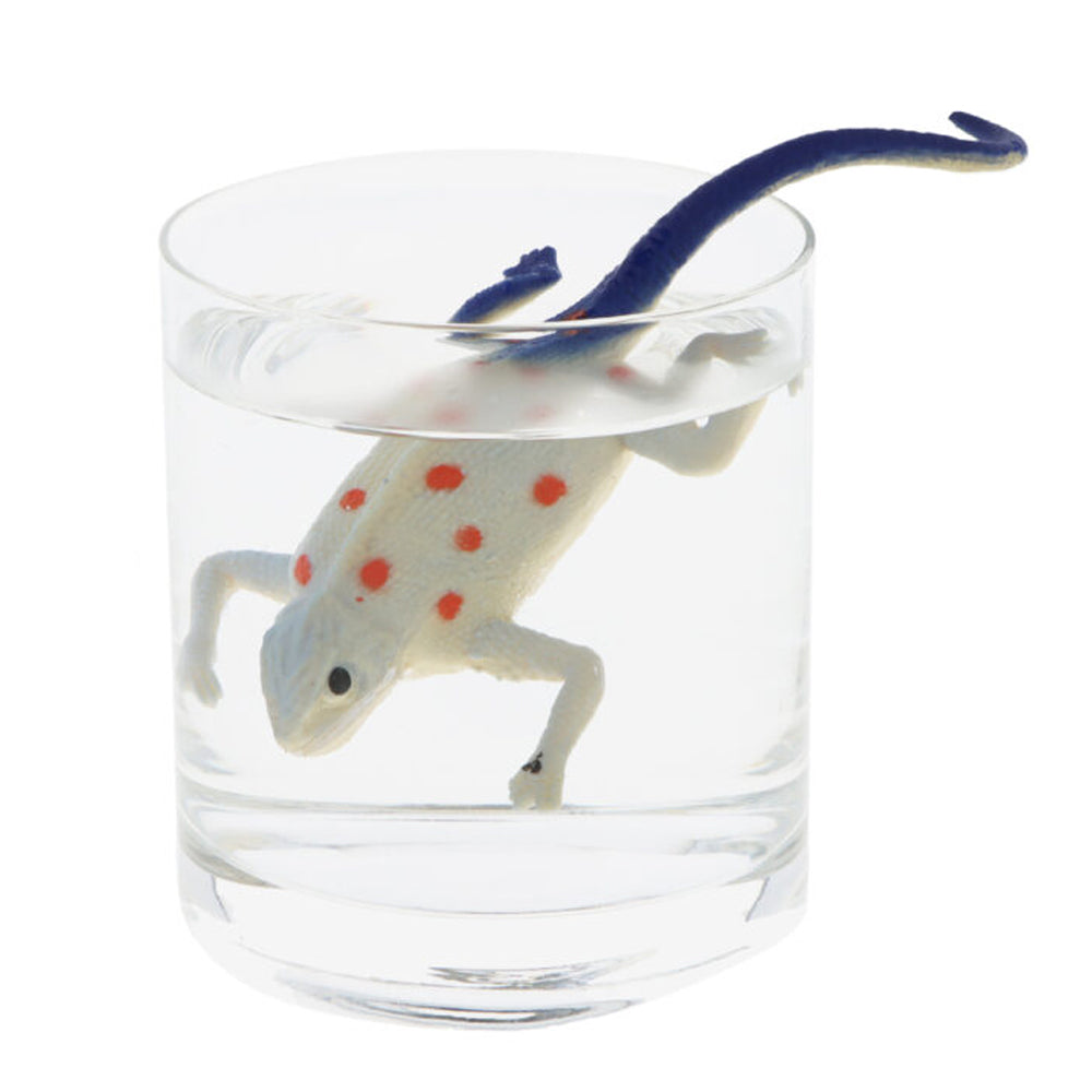 Colour Changing Lizards - 6 Assorted Designs - 15cm - Each