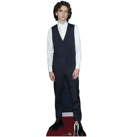 Timothee Chalamet Lifesize Cardboard Cutout with Free Mini Cutout - 1.79m