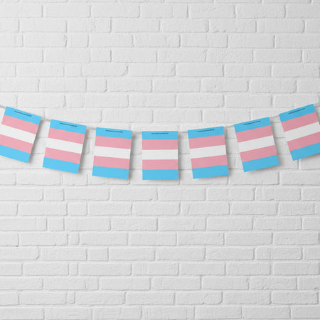 Transgender Pride Flag Paper Bunting - 2.4m