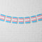 Transgender Pride Flag Paper Bunting - 2.4m