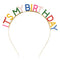 Rainbow 'It's My Birthday' Metal Headband