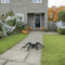 Giant Hairy Black Spider Prop - 56cm