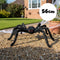 Giant Hairy Black Spider Prop - 56cm