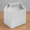 Silver Party Boxes - Pack of 288