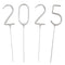 Silver 2025 New Year Party Sparklers