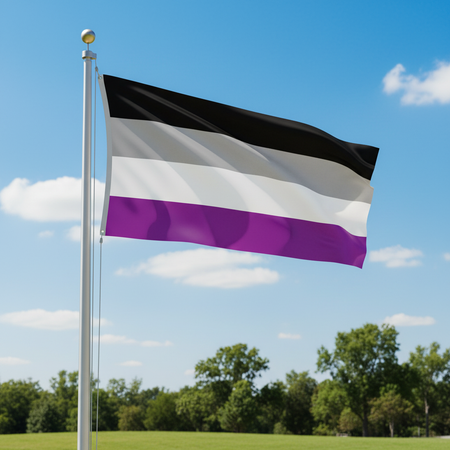 Asexual Pride Flag on Metal Flagpole Outside