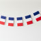 French Flag Bunting - 2.4m
