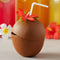 Plastic Coconut Cup With Flower & Straw 16oz