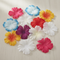 Colourful Hibiscus Flowers Scattered on Party Table