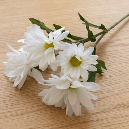 White Daisy Spray - 60cm