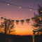 Flame Bunting with Natural Curve at Dusk