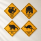 Four Australian wildlife road sign cut-outs on an off-white wall